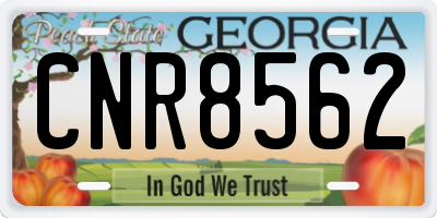 GA license plate CNR8562