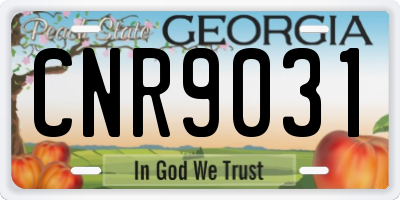 GA license plate CNR9031