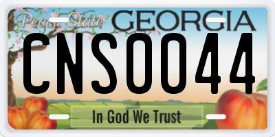 GA license plate CNS0044