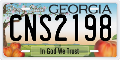 GA license plate CNS2198