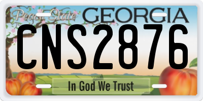 GA license plate CNS2876