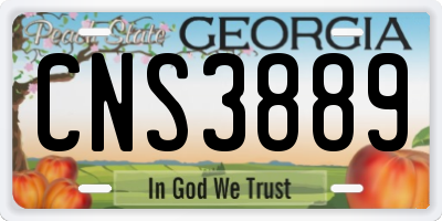 GA license plate CNS3889