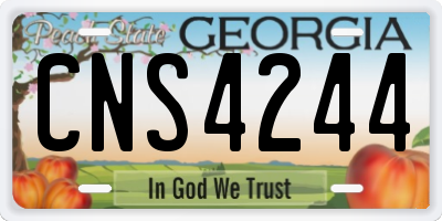 GA license plate CNS4244