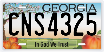 GA license plate CNS4325