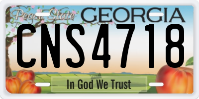 GA license plate CNS4718