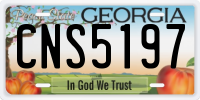 GA license plate CNS5197
