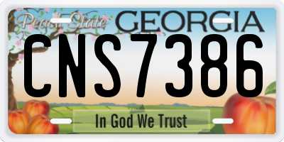 GA license plate CNS7386