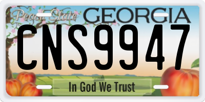 GA license plate CNS9947