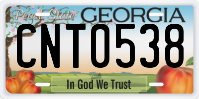GA license plate CNT0538