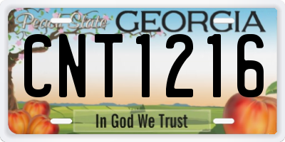 GA license plate CNT1216