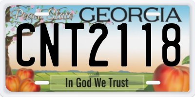 GA license plate CNT2118