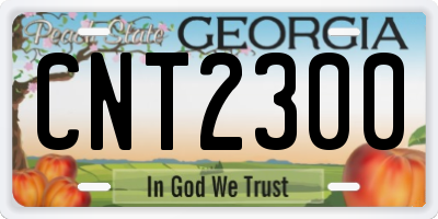 GA license plate CNT2300