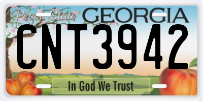 GA license plate CNT3942