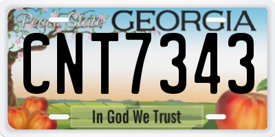 GA license plate CNT7343