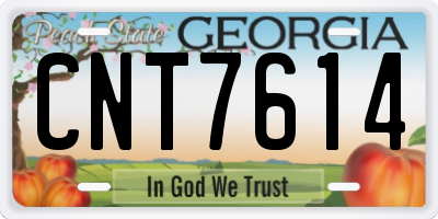 GA license plate CNT7614
