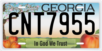 GA license plate CNT7955