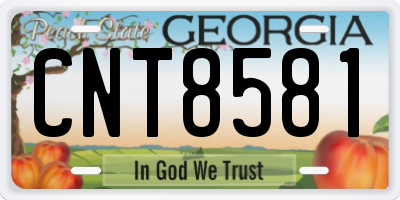 GA license plate CNT8581