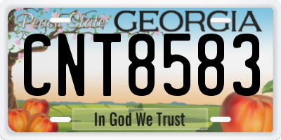 GA license plate CNT8583