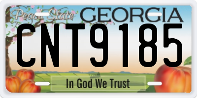 GA license plate CNT9185