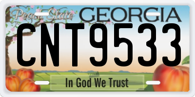 GA license plate CNT9533