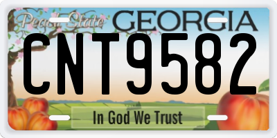 GA license plate CNT9582