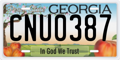 GA license plate CNU0387