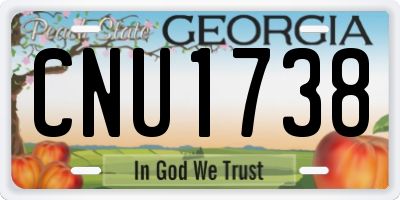 GA license plate CNU1738