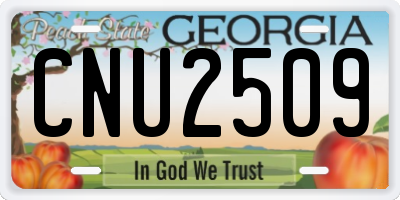 GA license plate CNU2509