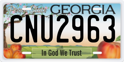 GA license plate CNU2963