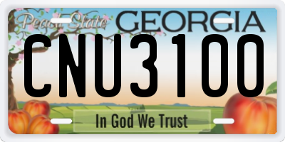 GA license plate CNU3100