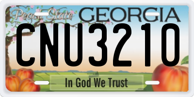 GA license plate CNU3210
