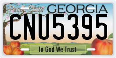 GA license plate CNU5395