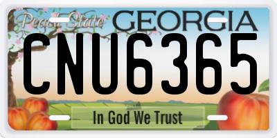 GA license plate CNU6365