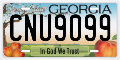 GA license plate CNU9099