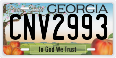 GA license plate CNV2993