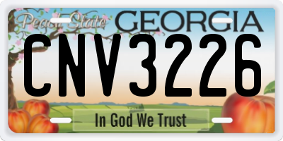 GA license plate CNV3226