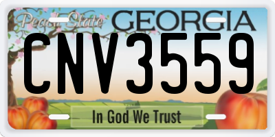 GA license plate CNV3559