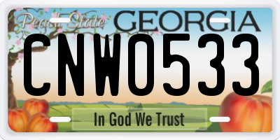 GA license plate CNW0533