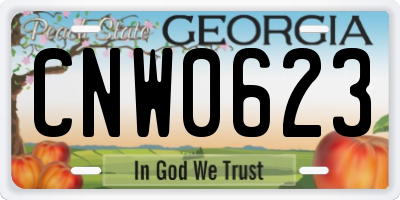 GA license plate CNW0623