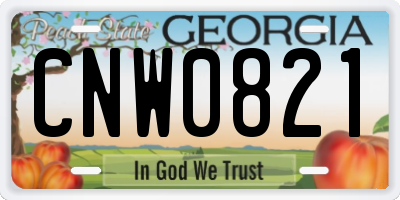 GA license plate CNW0821
