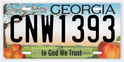 GA license plate CNW1393