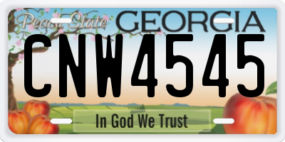 GA license plate CNW4545