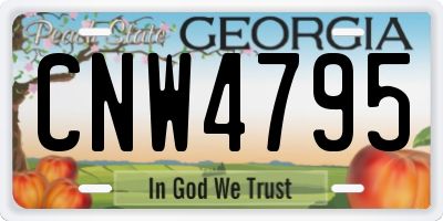 GA license plate CNW4795