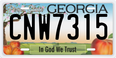 GA license plate CNW7315