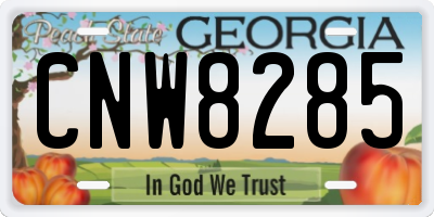 GA license plate CNW8285