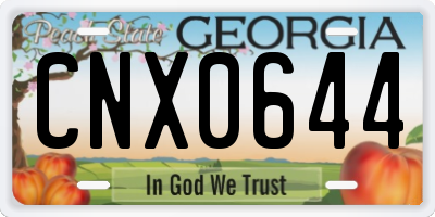 GA license plate CNX0644