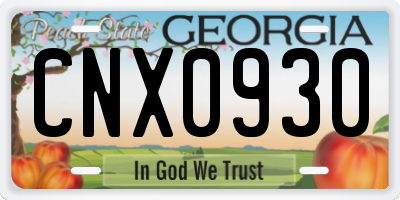 GA license plate CNX0930