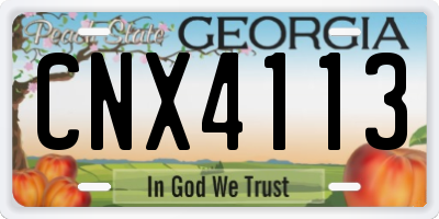 GA license plate CNX4113