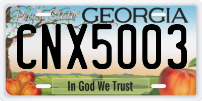 GA license plate CNX5003
