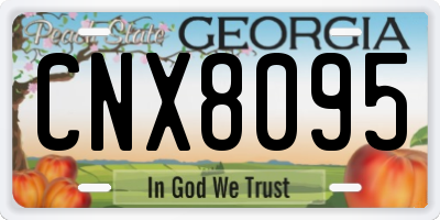 GA license plate CNX8095